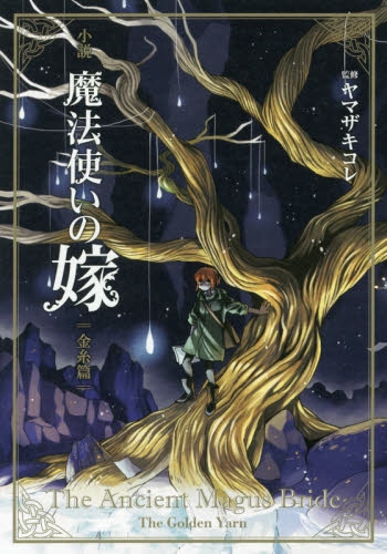 小説 魔法使いの嫁 金糸篇 通常版 アニメイト