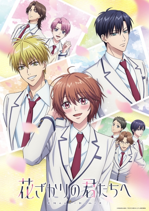 【DVD一括購入】【ポイント還元版(20%)・特典なし】TV 花ざかりの君たちへ DVD BOX 【完全生産限定版】Vol.1～Vol.2