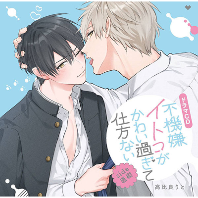 【データ販売】不機嫌イトコがかわい過ぎて仕方ないside直樹(ドラマCD音声)【出演声優:小松昌平 田丸篤志】