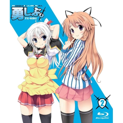 【Blu-ray】TV 勇者になれなかった俺はしぶしぶ就職を決意しました。 2 限定版