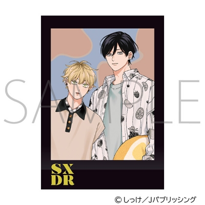 【グッズ-ブロマイド】 セックスドロップ ぱしゃこれ