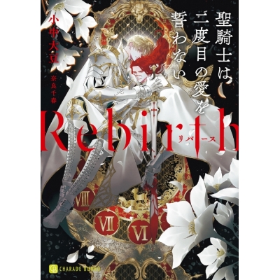 【小説】Rebirth ~聖騎士は二度目の愛を誓わない~