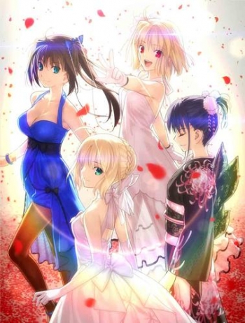 Blu-ray】TYPE-MOON Fes. -10TH ANNIVERSARY Blu-ray Disc BOX- 完全 
