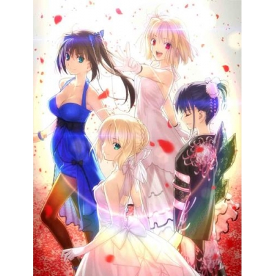 【Blu-ray】TYPE-MOON Fes. -10TH ANNIVERSARY Blu-ray Disc BOX- 完全生産限定版