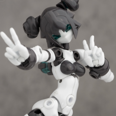 【プラモデル】Gene Interference(ジーンインターフェアランス)シリーズ QK-ST-002 1/12