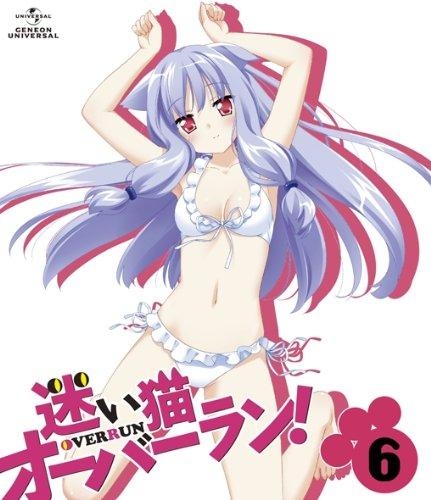 【DVD】TV 迷い猫オーバーラン! 第6巻 初回限定版