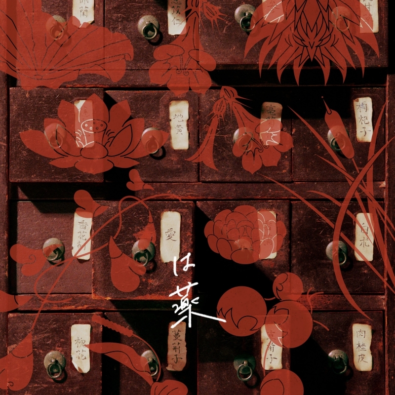 【主題歌】TV 薬屋のひとりごと ED「愛は薬」/wacci 初回生産限定盤