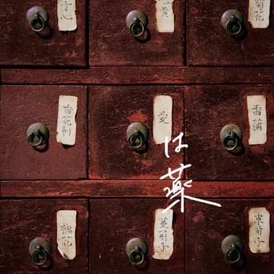 【主題歌】TV 薬屋のひとりごと ED「愛は薬」/wacci 通常盤