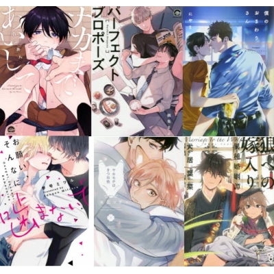 【ポイント還元版( 12%)】【コミック】新しい年「初(初恋・初体験)」オススメBL コミック15冊セット