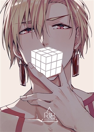 同人誌 ルービックキューブ アニメイト