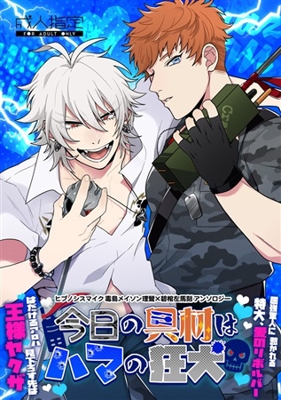 同人誌 今日の具材はハマの狂犬 アニメイト