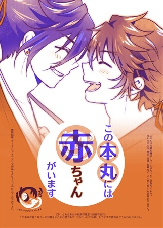 同人誌 専売 この本丸には赤ちゃんがいます アニメイト