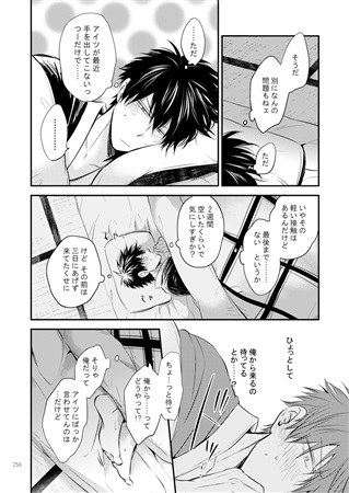 同人誌 ハイネコロク3 銀土再録集 アニメイト