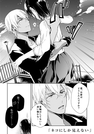 同人誌 あむドリmax アニメイト