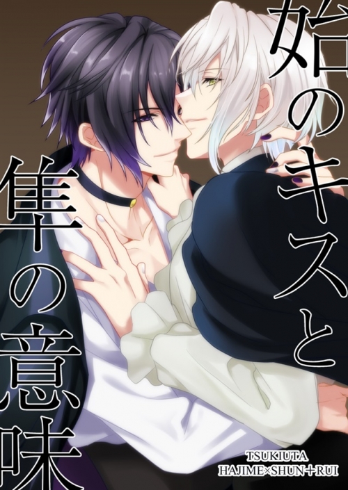 同人誌】始のキスと隼の意味 | アニメイト 