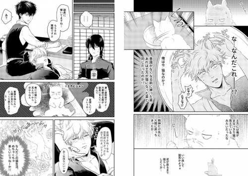 同人誌 銀土再録集mucci 2 アニメイト