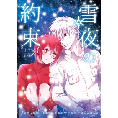 【同人誌】雪夜の約束