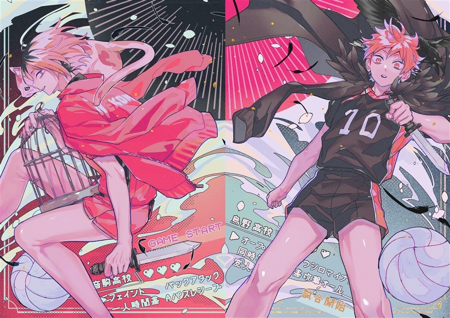 Animate Archives Buy Doujinshi Online Store