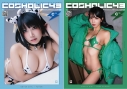 【同人誌】コスホリック43 公式パンフレット C.verの画像