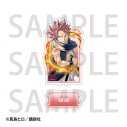 【グッズ-スタンドポップ】FAIRY TAIL アクリルスタンド ナツ【アニメイトカフェ】の画像