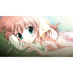 【DVD】TV ef -a tale of memories.~prologue~ 初回限定生産