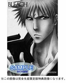 Dvd Tv Bleach ブリーチ 新隊長天貝繍助篇 1 完全生産限定版 アニメイト