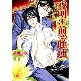 【小説】夜明け前の睡蓮
