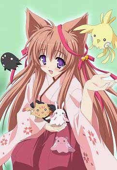 Blu Ray Tv タユタマ Kiss On My Deity 6 アニメイト