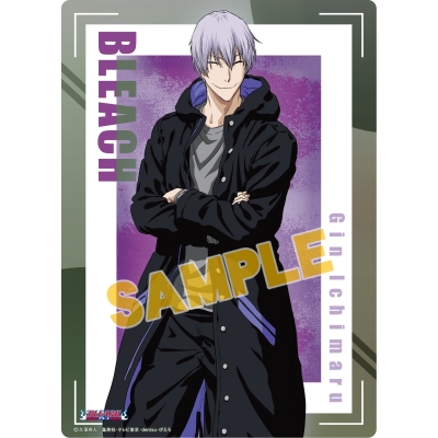 Bleach ブリーチ アニメイト