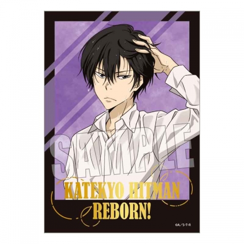 グッズ-ブロマイド】家庭教師ヒットマンREBORN! トレーディング箔押し 