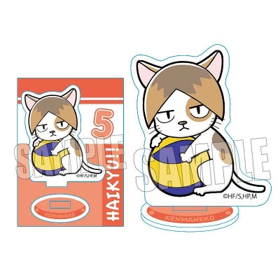 【グッズ-スタンドポップ】ハイキュー!! ぎゅぎゅっとミニスタンド/ケンマネコ