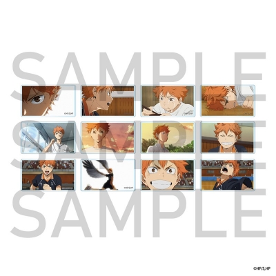 【グッズ-その他】ハイキュー!! ランダムカスタマイズマグネットパーツ 日向翔陽(全12種) BOX