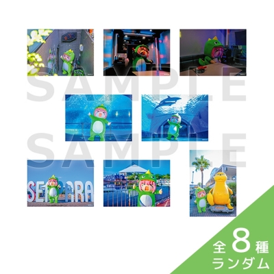 【グッズ-ブロマイド】アニメ「ぼっち・ざ・ろっく!」 承認欲求モンスター(着ぐるみ)ランダムブロマイド(全8種)