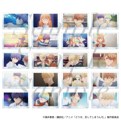 【グッズ-ブロマイド】TVアニメ『どうせ、恋してしまうんだ。』 トレーディング場面写フォトコレクション 全20種2枚セット