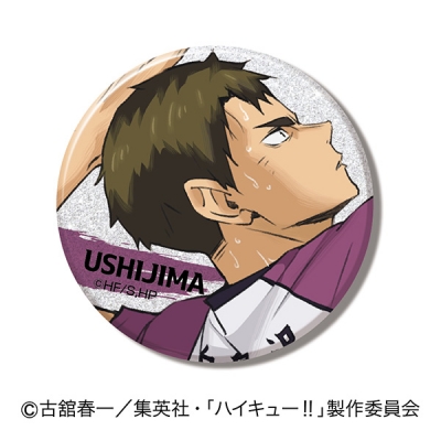 【グッズ-バッチ】ハイキュー!! グリッターCANバッジA BOX