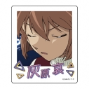 【グッズ-マグネット】名探偵コナン インスタントフォトマグネット vol.10(灰原哀)の画像