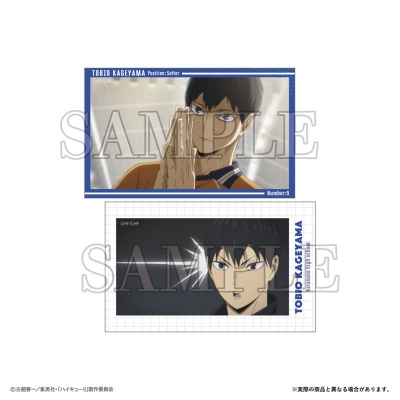 【グッズ-ブロマイド】ハイキュー!! スマロイドVol.3 影山飛雄