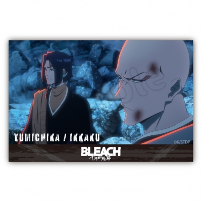 【グッズ-置きもの】BLEACH アクリルブロック 斑目 一角&綾瀬川 弓親