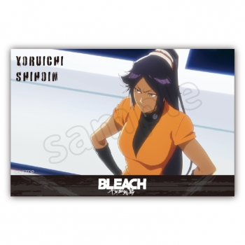 グッズ-置きもの】BLEACH アクリルブロック 四楓院 夜一 | アニメイト
