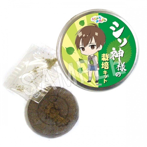 グッズ 園芸関係 うらみちお兄さん シソ神様の栽培キット アニメイト