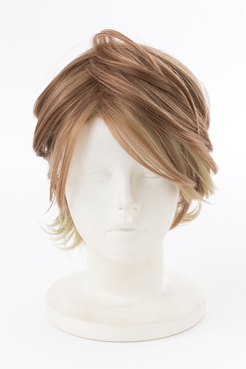 コスプレ ウィッグ A3 キャラクターウィッグ 茅ヶ崎 至 アニメイト