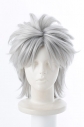 【コスプレ-ウィッグ】 Fate/Apocrypha キャラクターウィッグ シロウ・コトミネの画像
