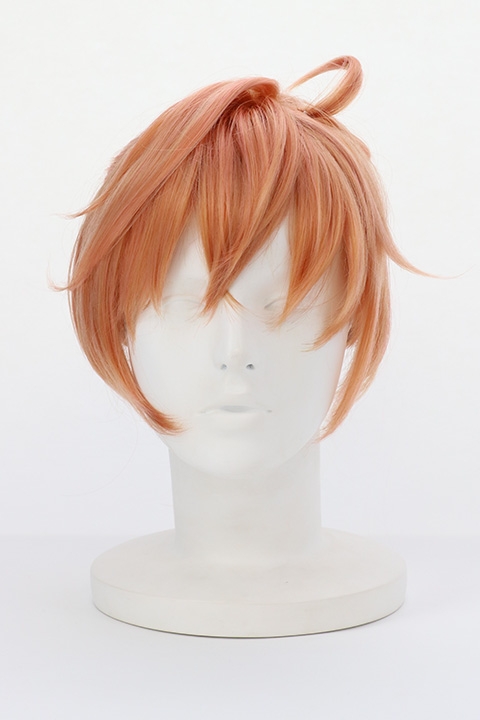 コスプレ ウィッグ Fate Grand Order 絶対魔獣戦線バビロニア キャラクターウィッグ ロマニ アーキマン アニメイト