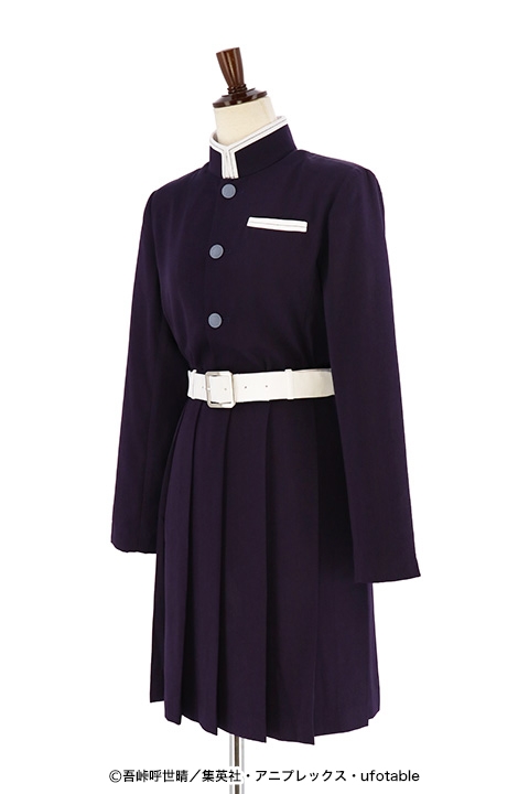 コスプレ-衣装】鬼滅の刃 栗花落 カナヲの衣装/L | アニメイト 