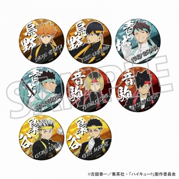 グッズ-バッチ】ハイキュー!! TO THE TOP キャラバッジコレクション 