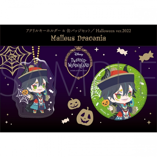グッズ セットもの ディズニー ツイステッドワンダーランド アクリルキーホルダー 缶バッジセット Halloween Ver 22 マレウス ドラコニア アニメイト