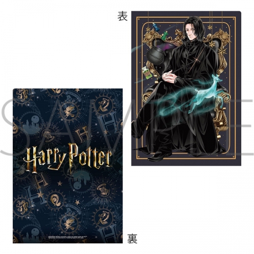 ハリーポッター Severus もぎ取る Snape 缶バッジセードシークレット