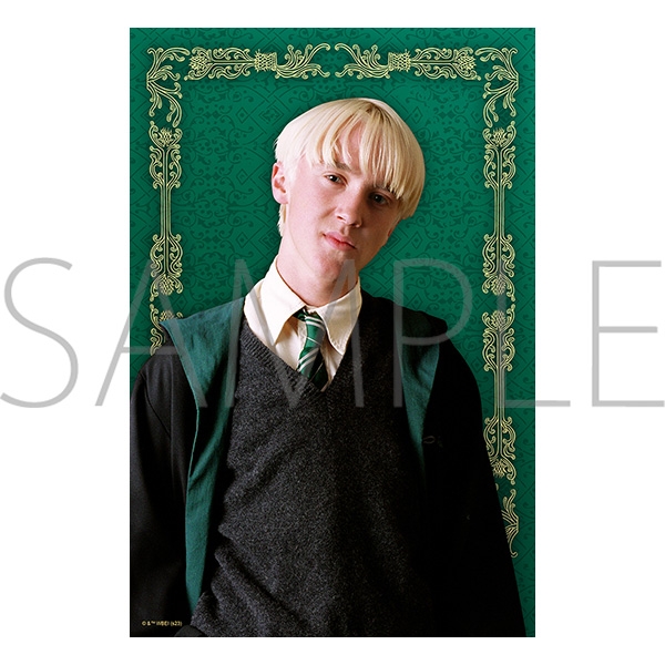 【グッズブロマイド】ハリーポッター ビッグブロマイド/Draco Malfoy A（実写） アニメイト