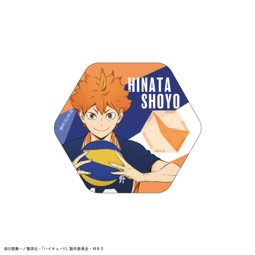 グッズ バッチ ハイキュー トレーディング ステータス缶バッジ アニメイト