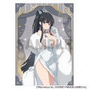 【グッズ-クリアファイル】シノビマスター 閃乱カグラ NEW LINK シングルクリアファイル 斑鳩 パーティードレスの画像